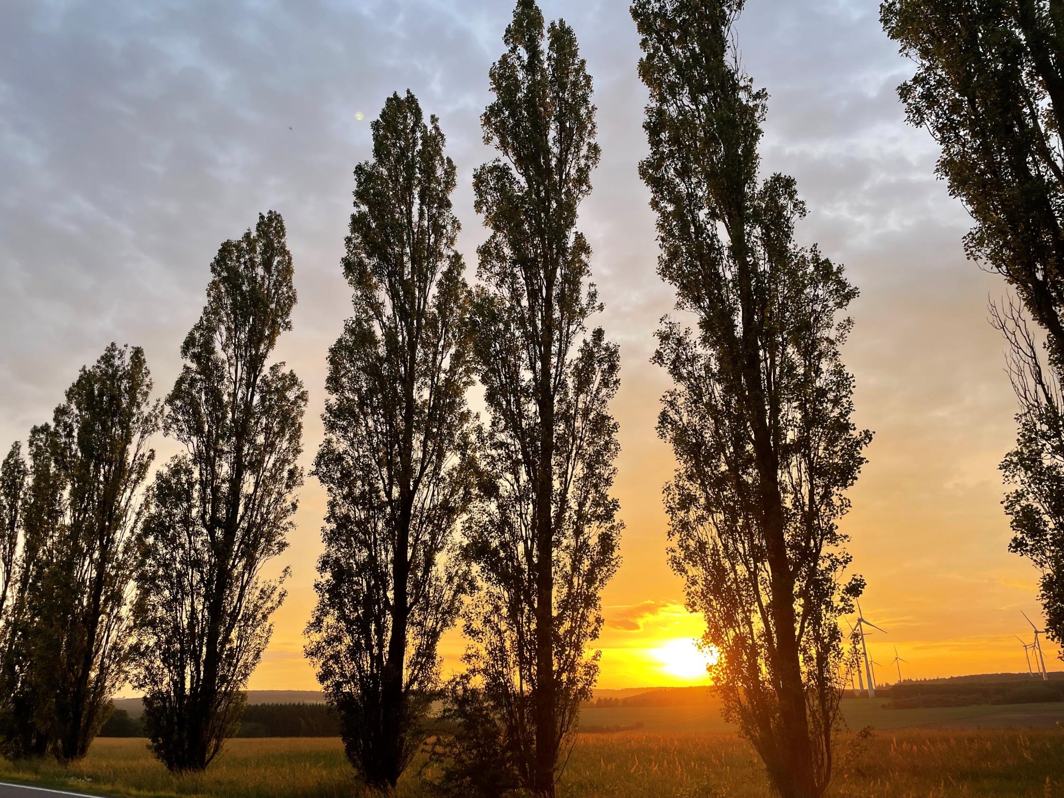 Literarische Abendwanderung der Frauen am 26. Juni