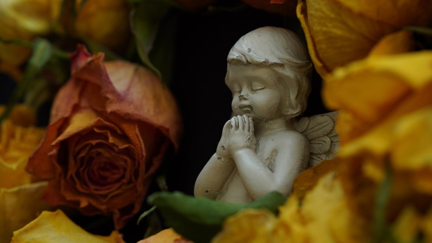 angel-8247278_by_Mylene2401_pixabay_pbs